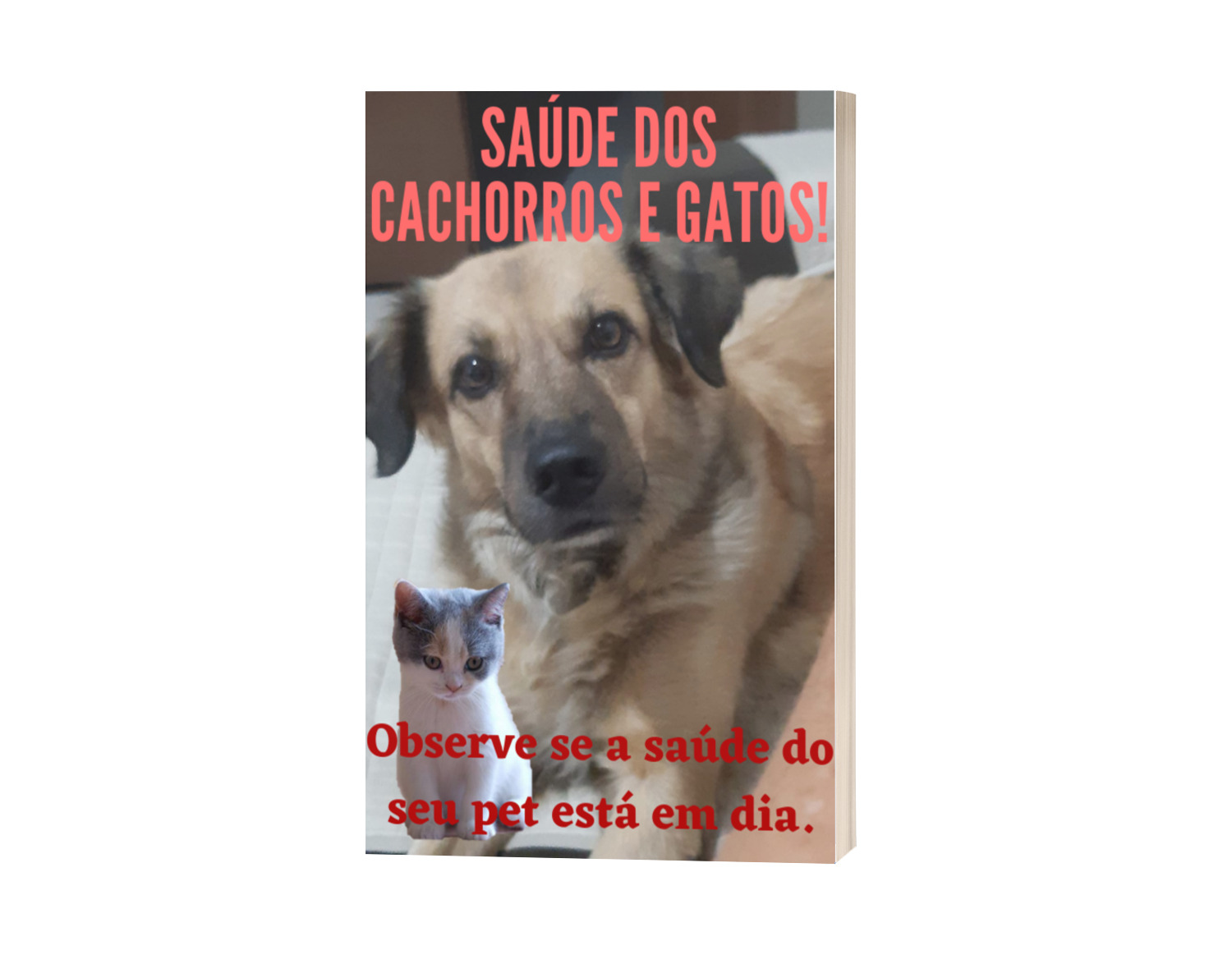 SAÚDE DOS CACHORROS E GATOS.