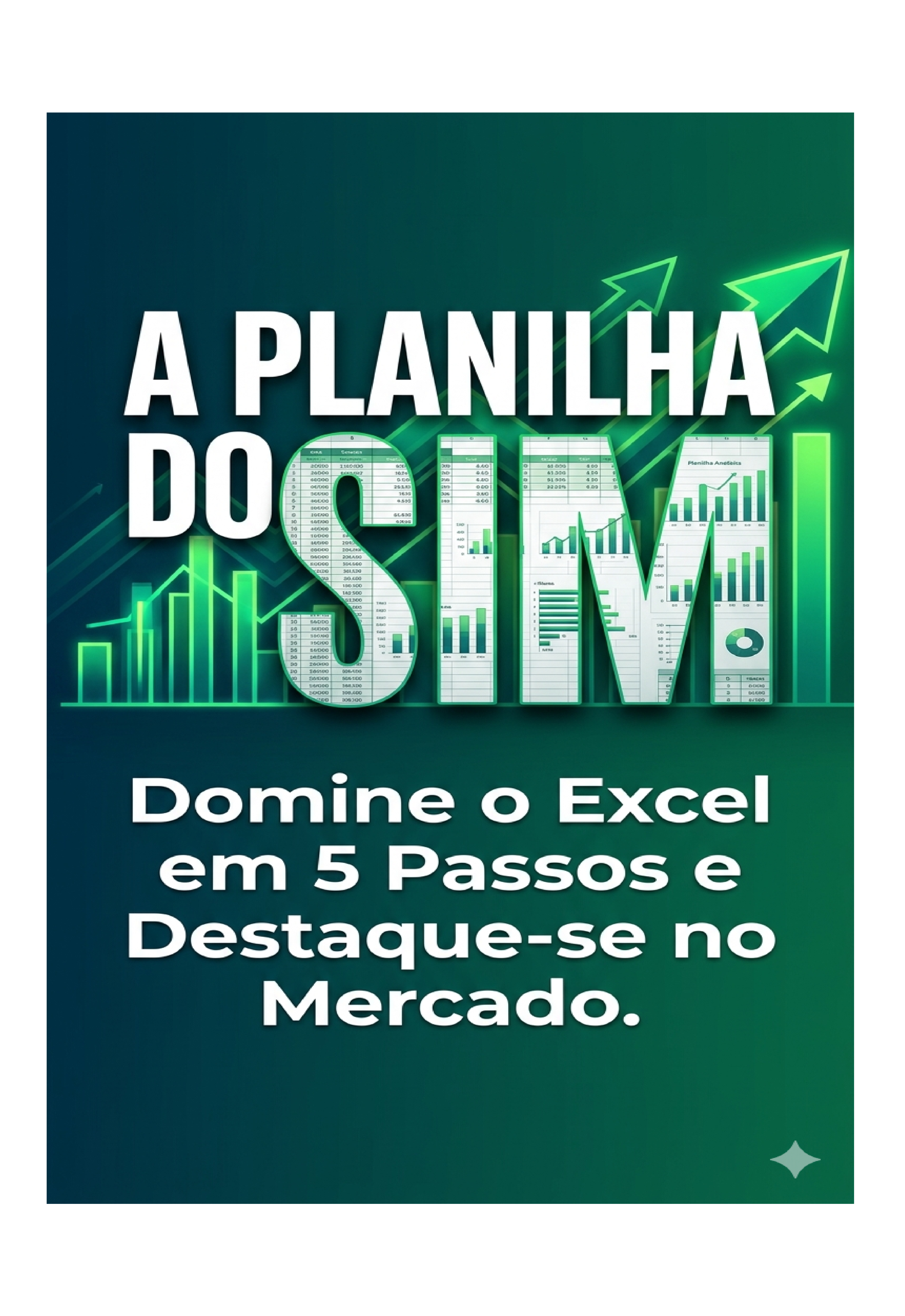 A Planilha do SIM - Domine o Excel em 5 passos e destaque-se no Mer...