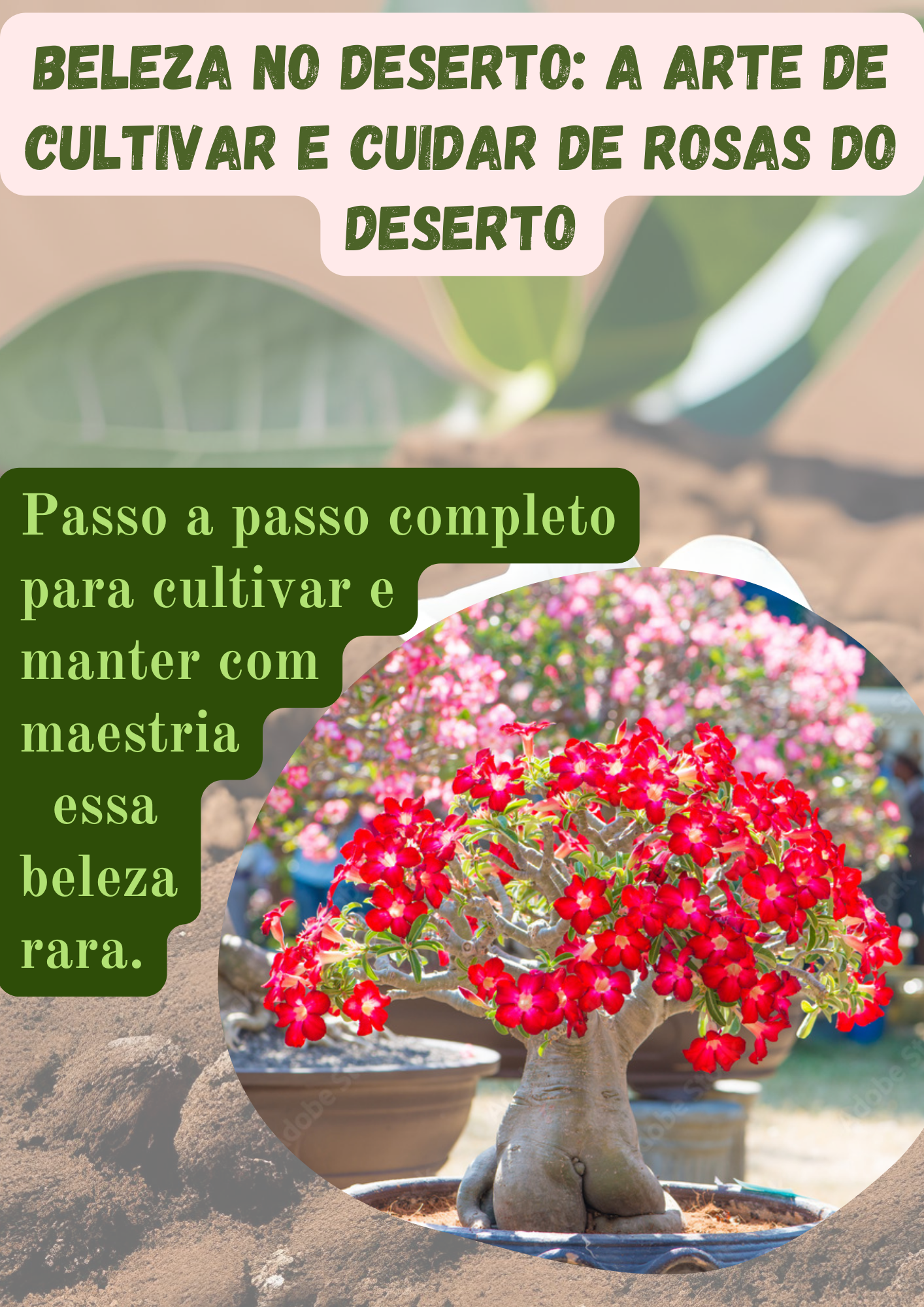 Beleza no Deserto: A arte de cultivar e cuidar de Rosas do Deserto
