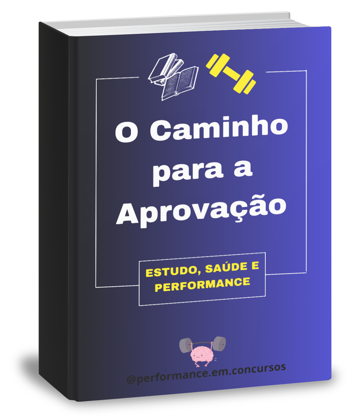 Maximizando a sua performance nos estudos para concursos