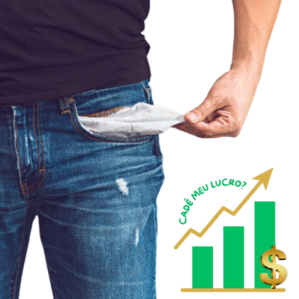 Gestão Financeira Para Pequenas e Médias Empresas: Curso: Cadê Meu Lucro? — imagem 2