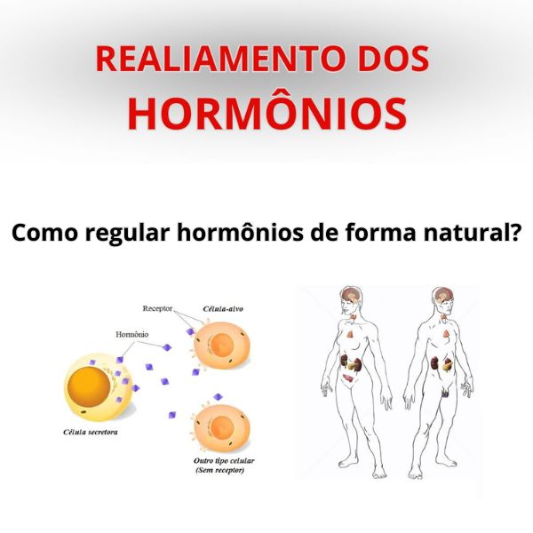 Realimento dos Hormônios 