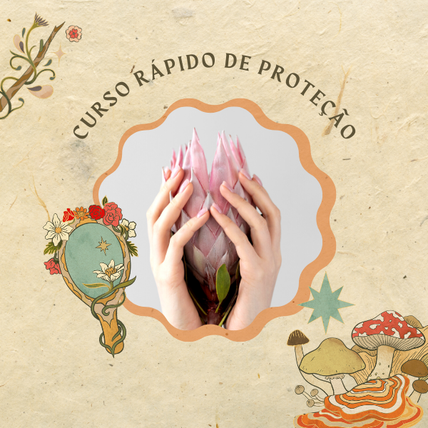 Curso Rápido de Proteção