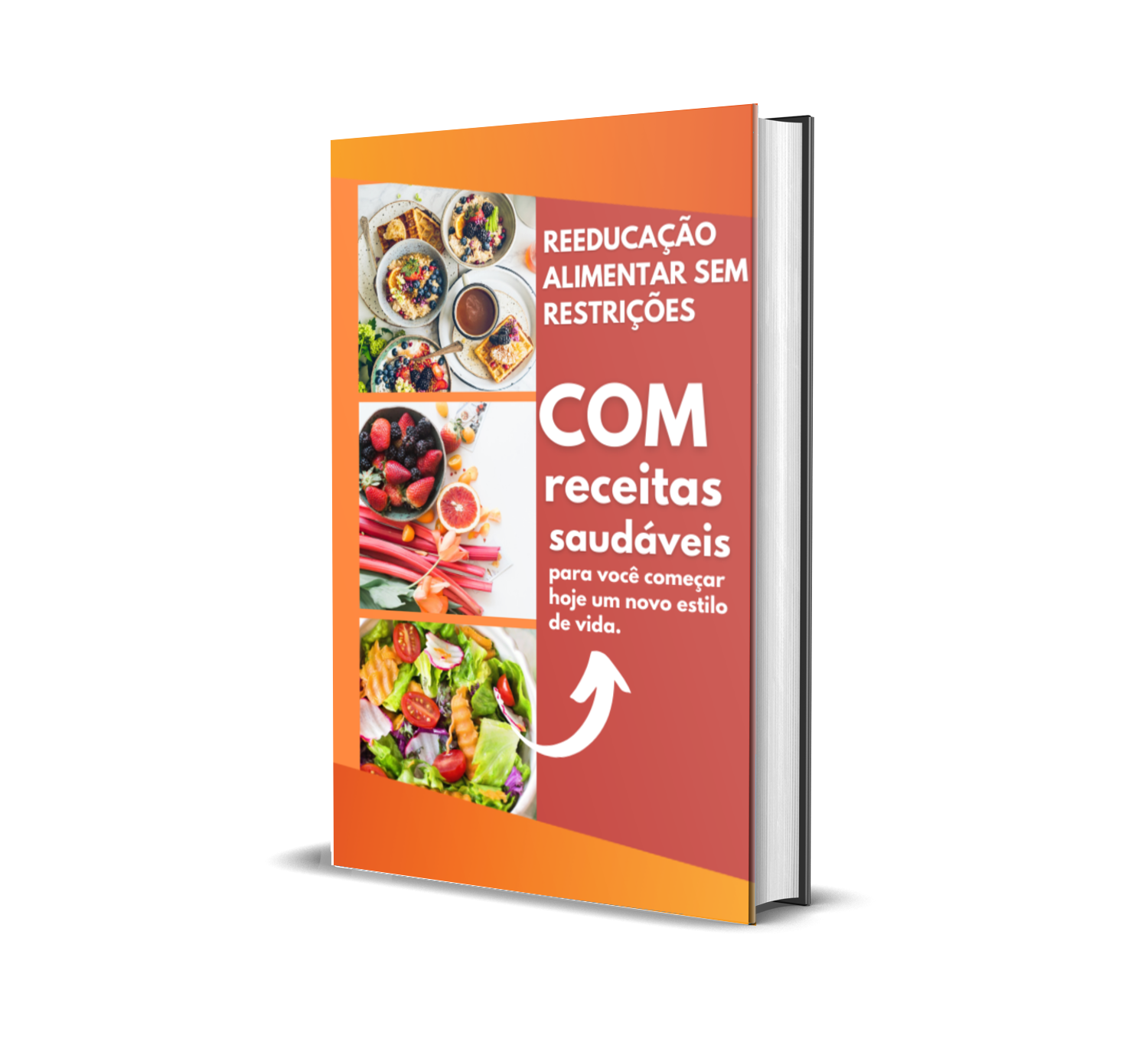 reeduca-o-alimentar-sem-restri-es