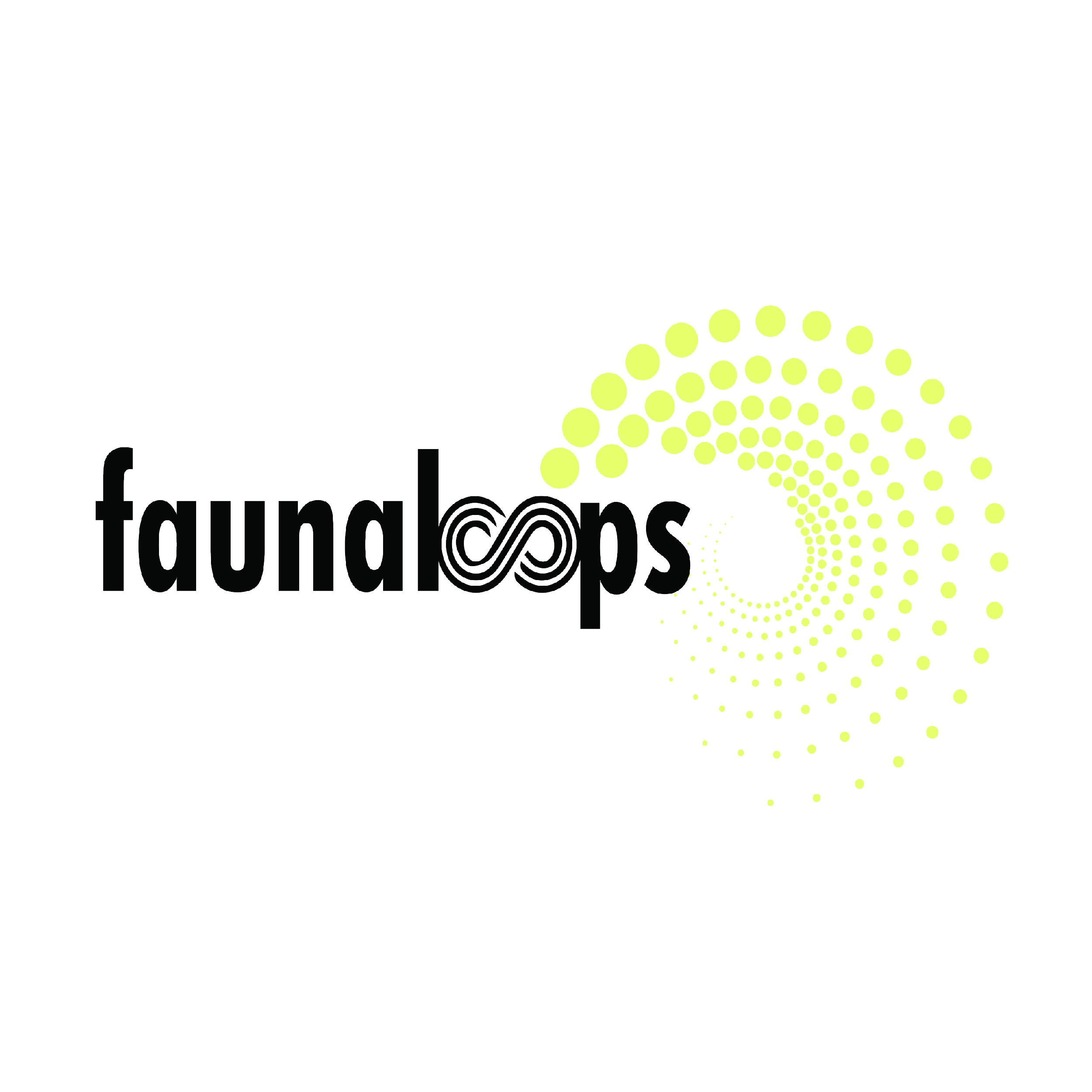 FLAMENCO PACK / CAJON Y PALMAS / FAUNA LOOPS Claudio Lucio Schmer