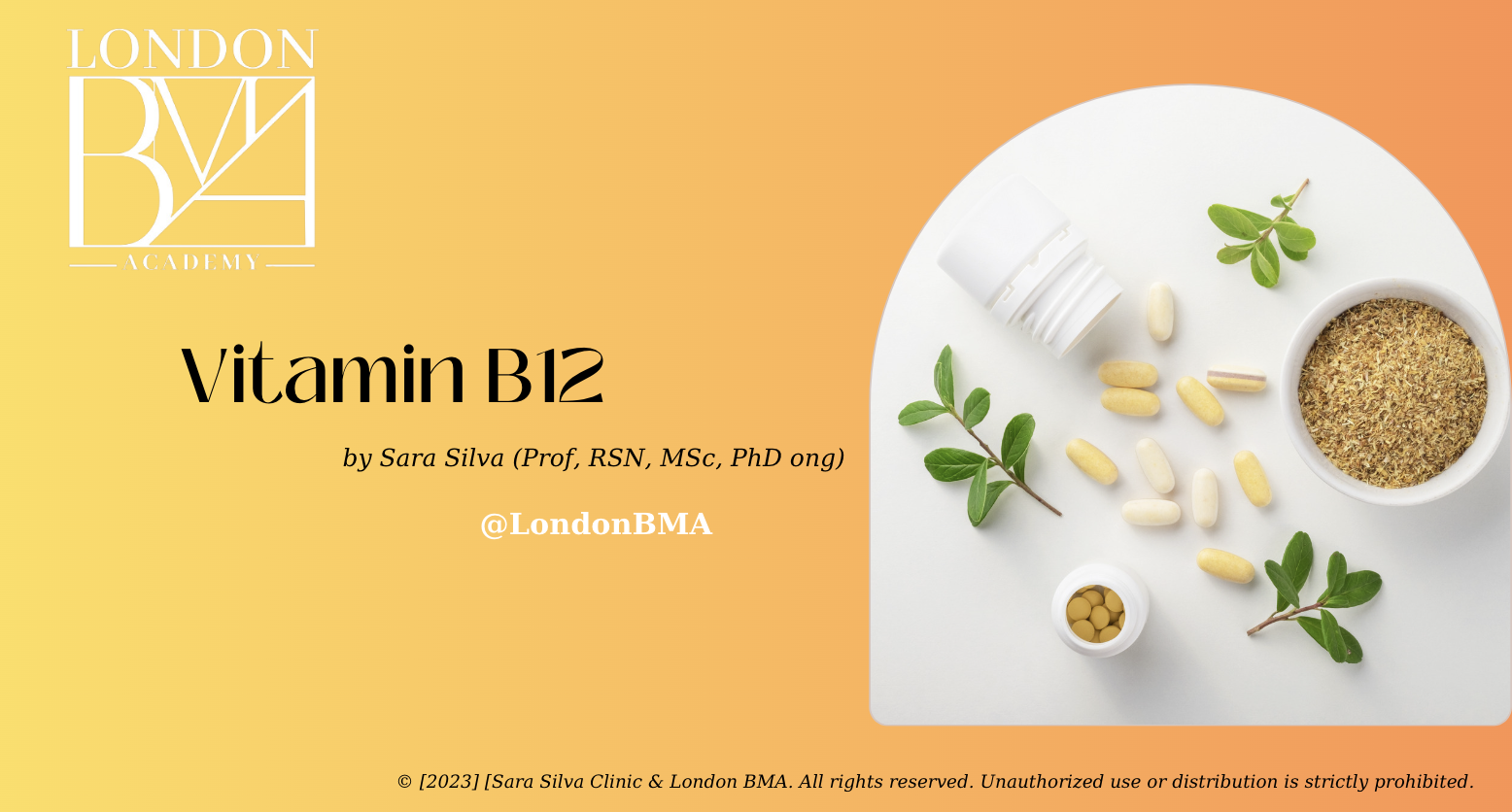 Vitamin B12 Sara Silva Hotmart