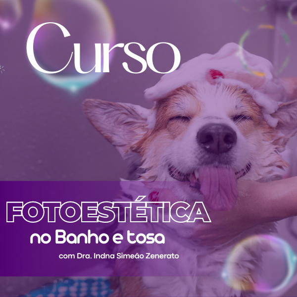  Curso de Fotoestética no Banho e Tosa