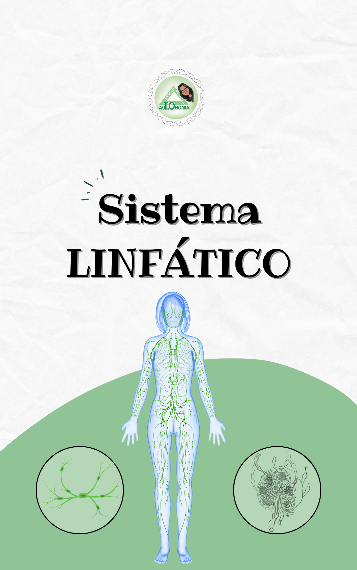 Apostila De Estudos Sistema Linfático Autonomia E Books De Estu