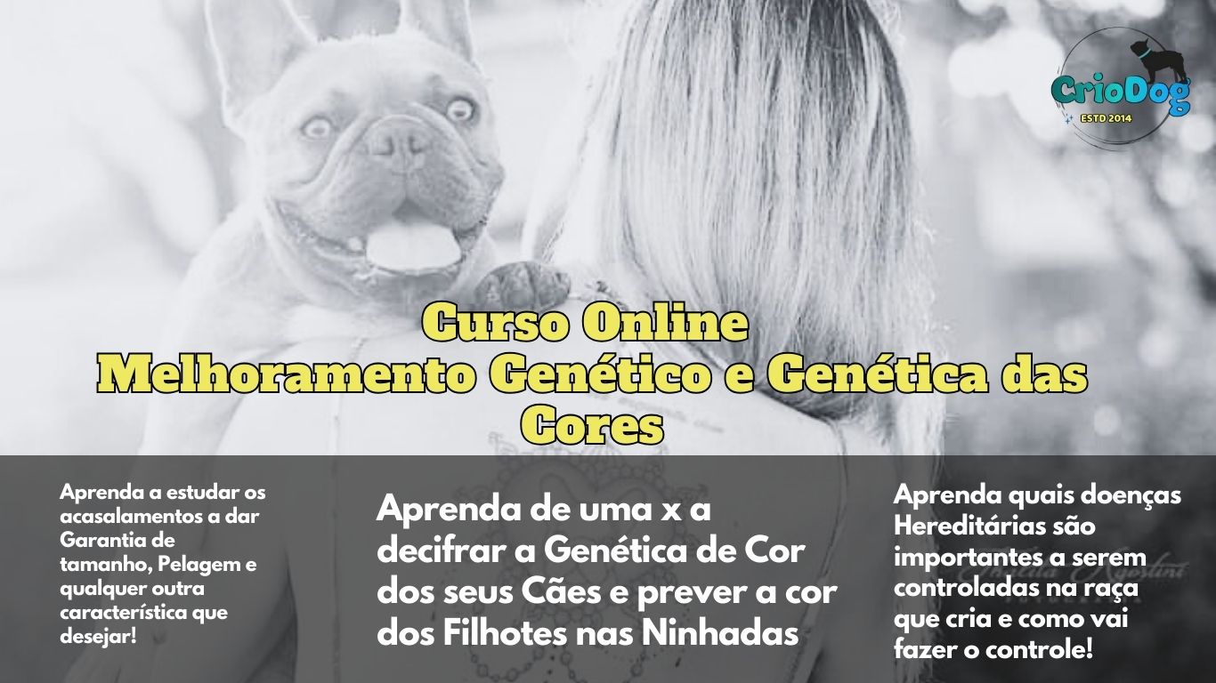 Imagem de capa para o Curso online Genética de Cor nos Cães - O Fim do Mistério da Cor dos Filhotes
