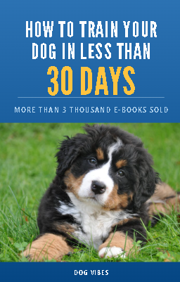How to Train Your Dog in Less Than 30 days - Rose Gusman | Hotmart