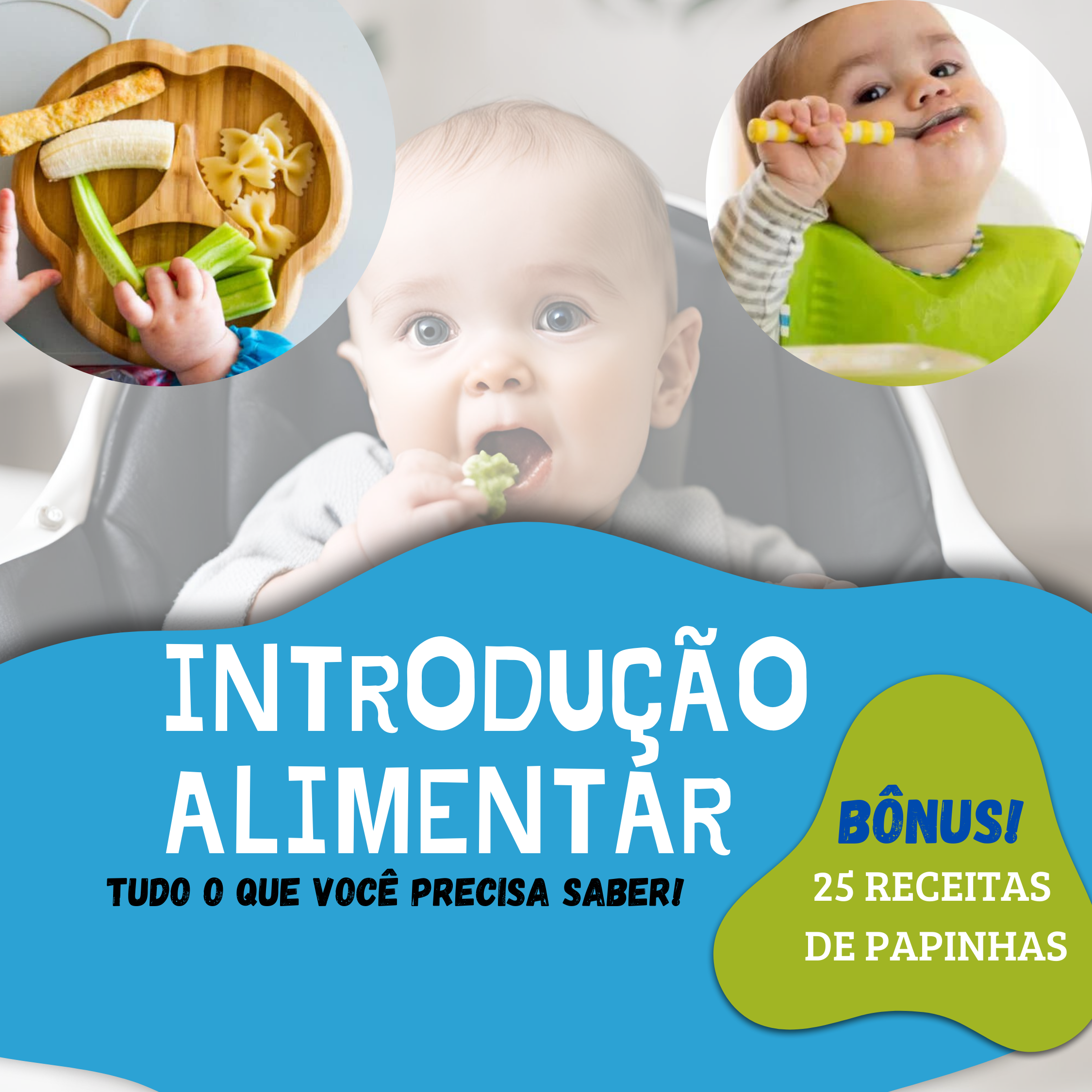 Guia Completo de Introdução Alimentar para Bebês e Crianças Pequena...