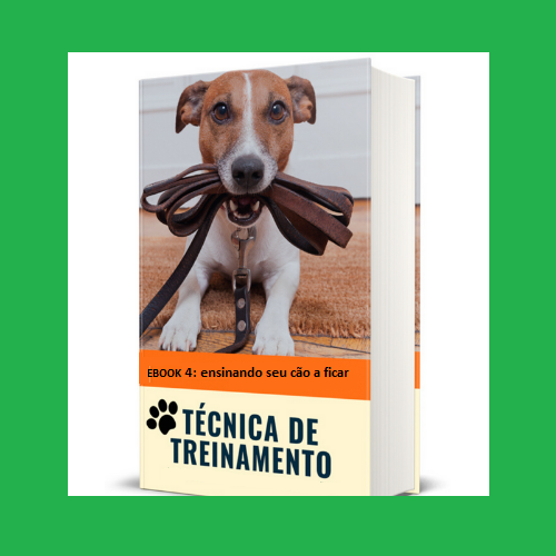 Técnica de Treinamento Canino EBOOK 4 ensinando seu cão a ficar