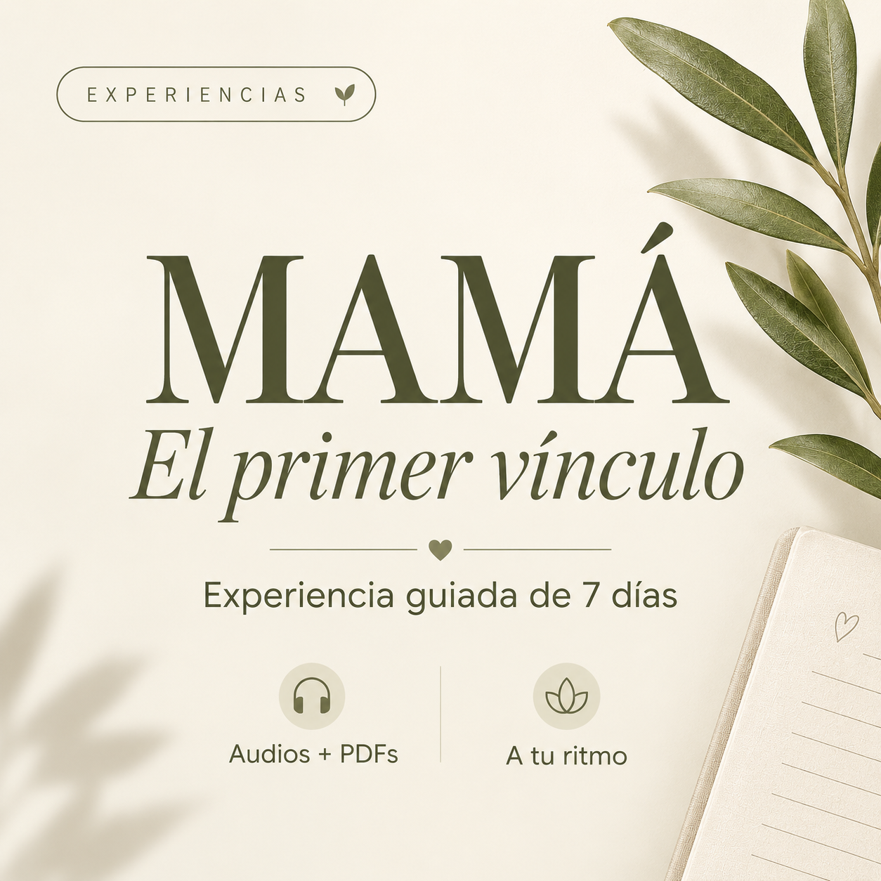 Experiencia Mamá · El primer vínculo