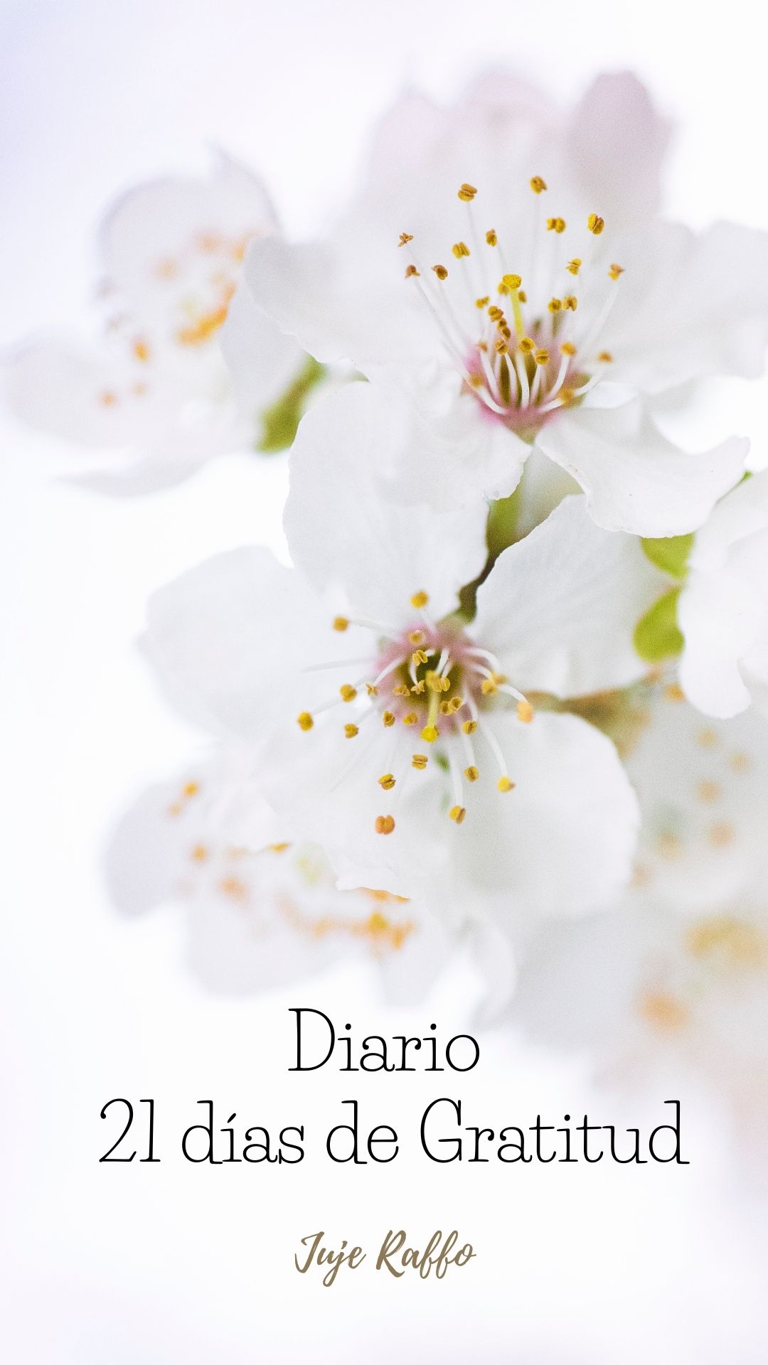Diario de Gratitud – Transforma tu vida en 21 días - Eugenia Raffo ...