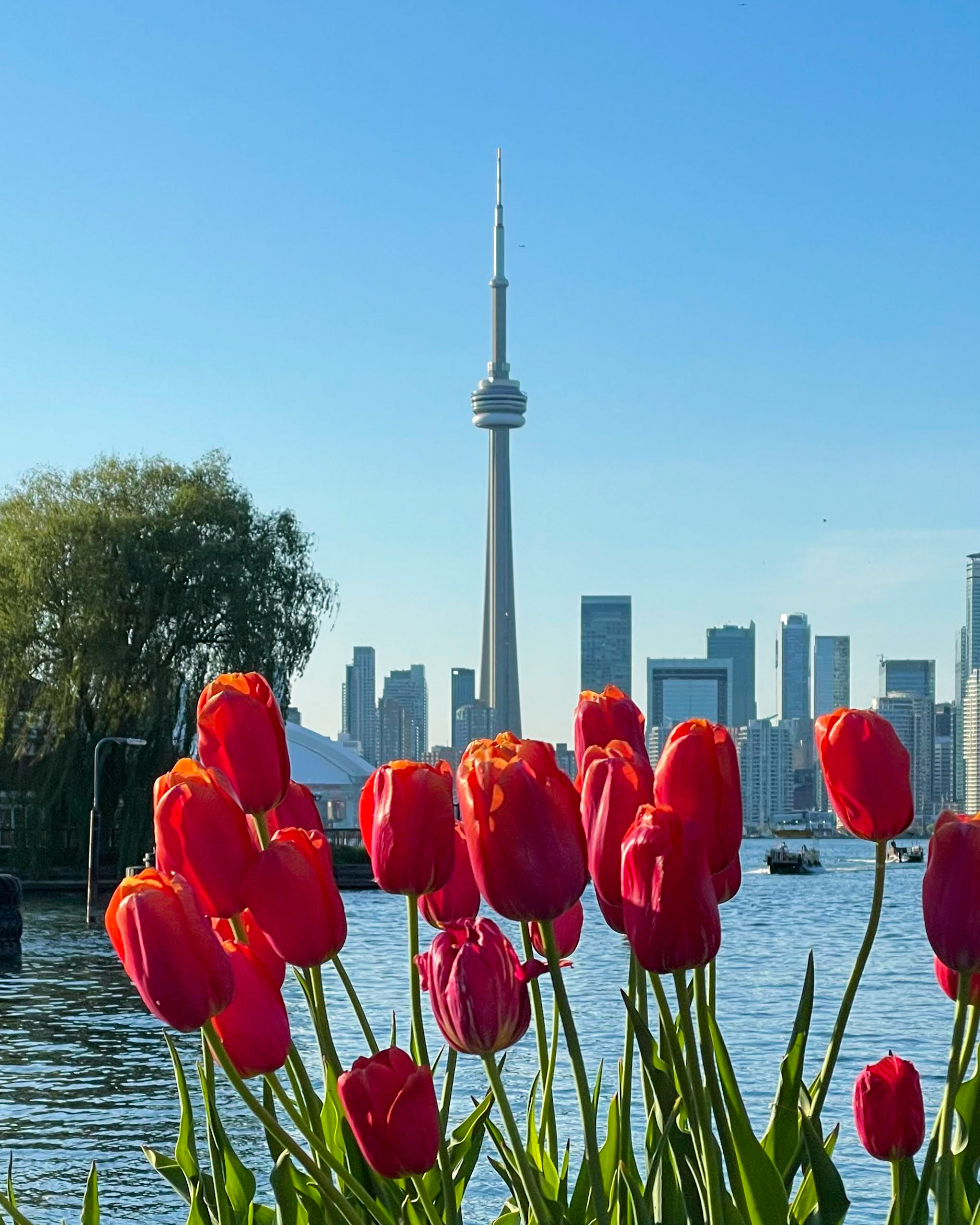 Travel Guide - Toronto - Juliana Lima | Hotmart