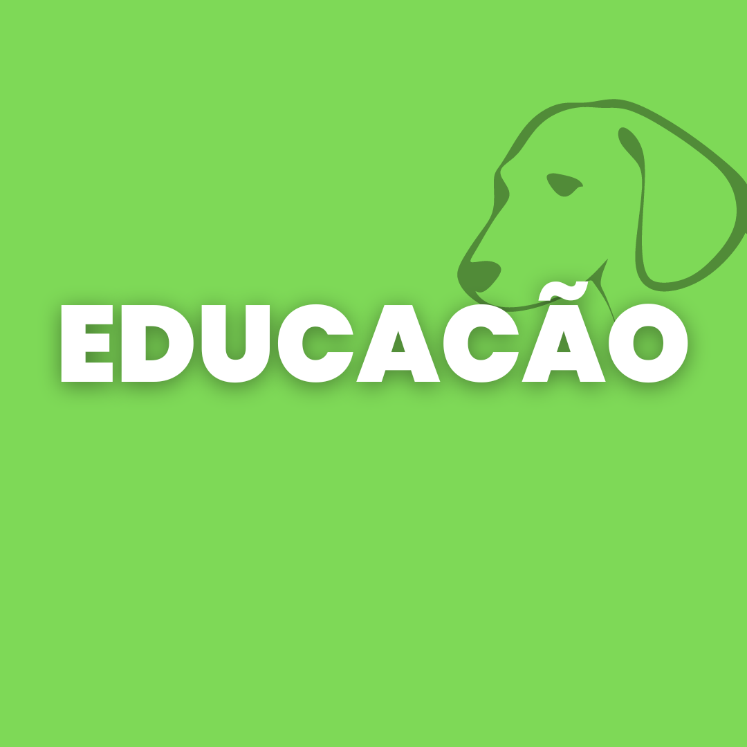 EducaC o Adestramento Canino educac-o-adestramento-canino
