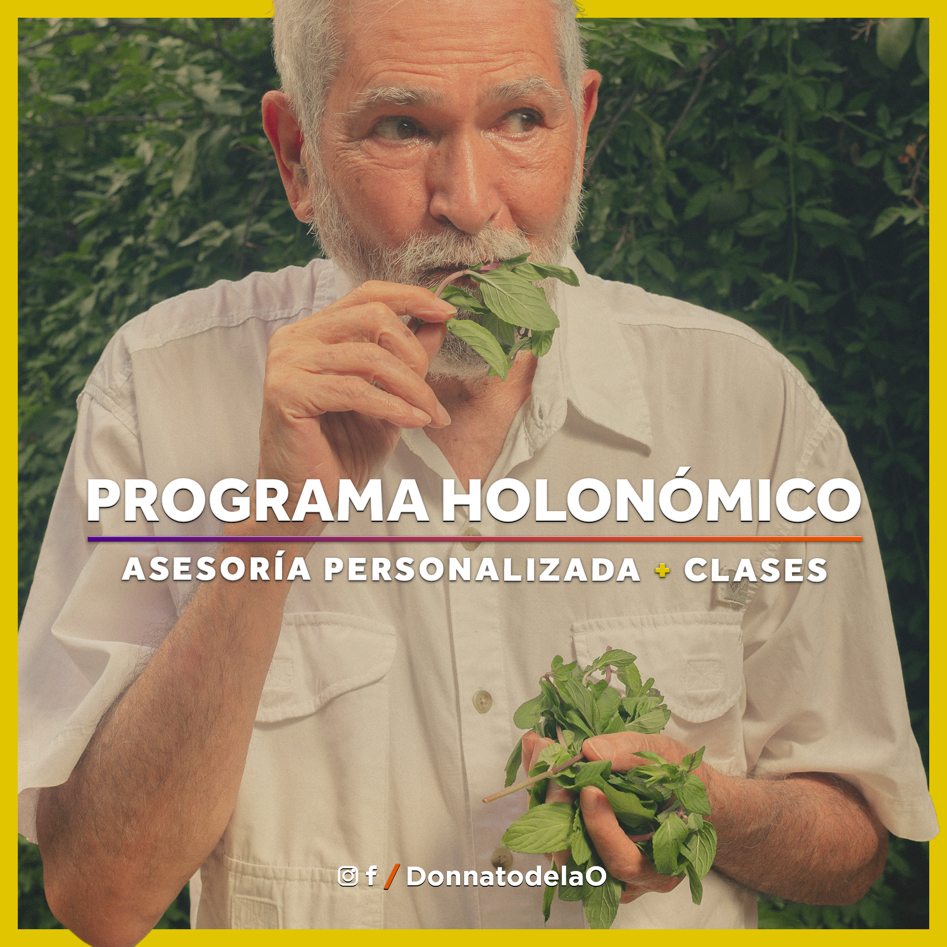 Imagen de portada para Curso online Programa Holonómico - Primera cita