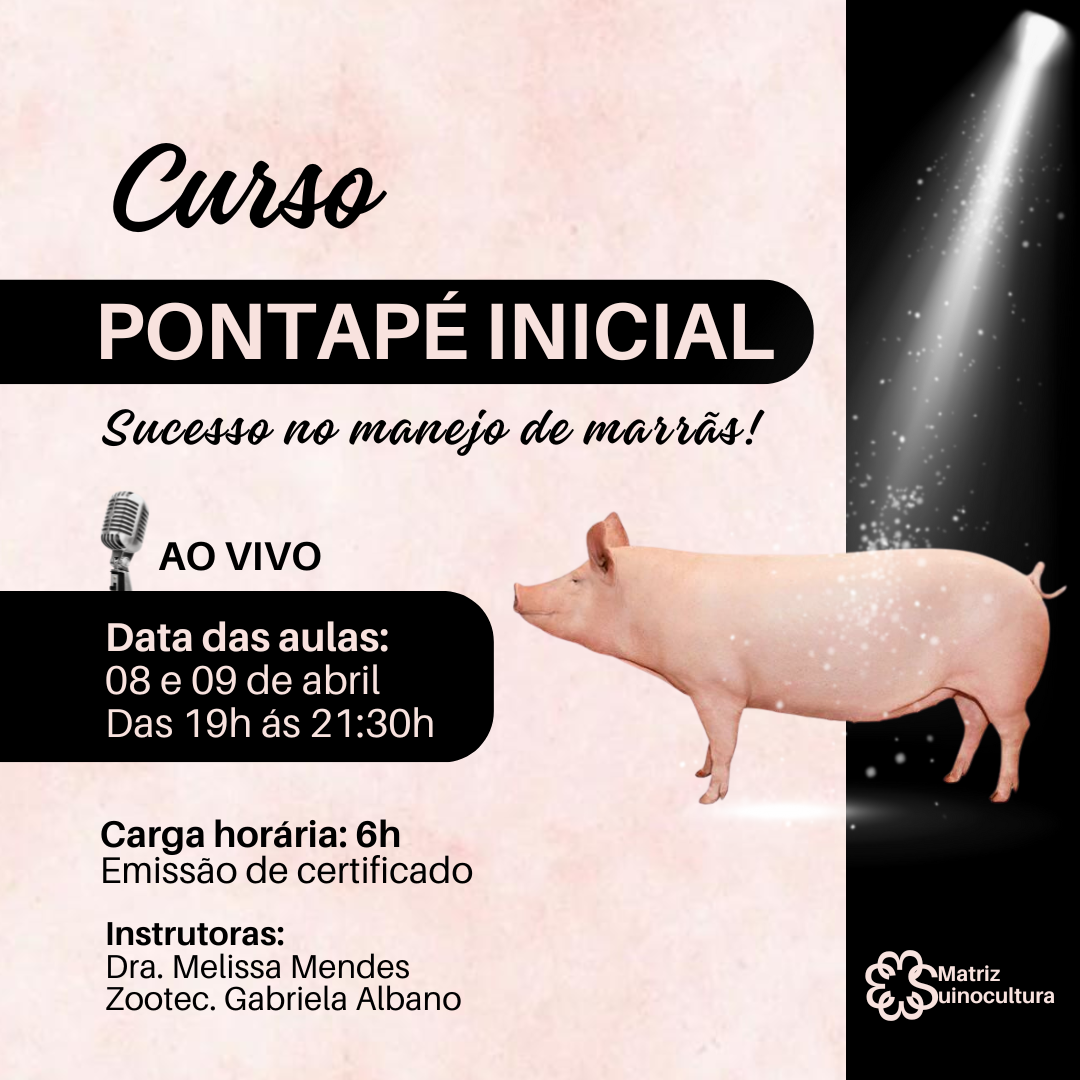 Curso pontapé inicial - Marrãs
