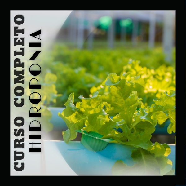 Imagen de portada para Curso online CURSO HIDROPONIA COMPLETO 