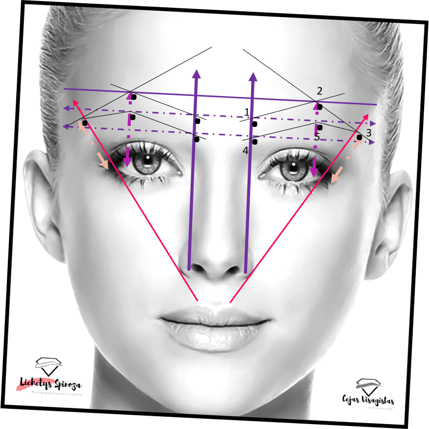 MANUAL DISEÑO DE CEJAS Y VISAGISMO - ACADEMIA CEJAS LATINAS | Hotmart