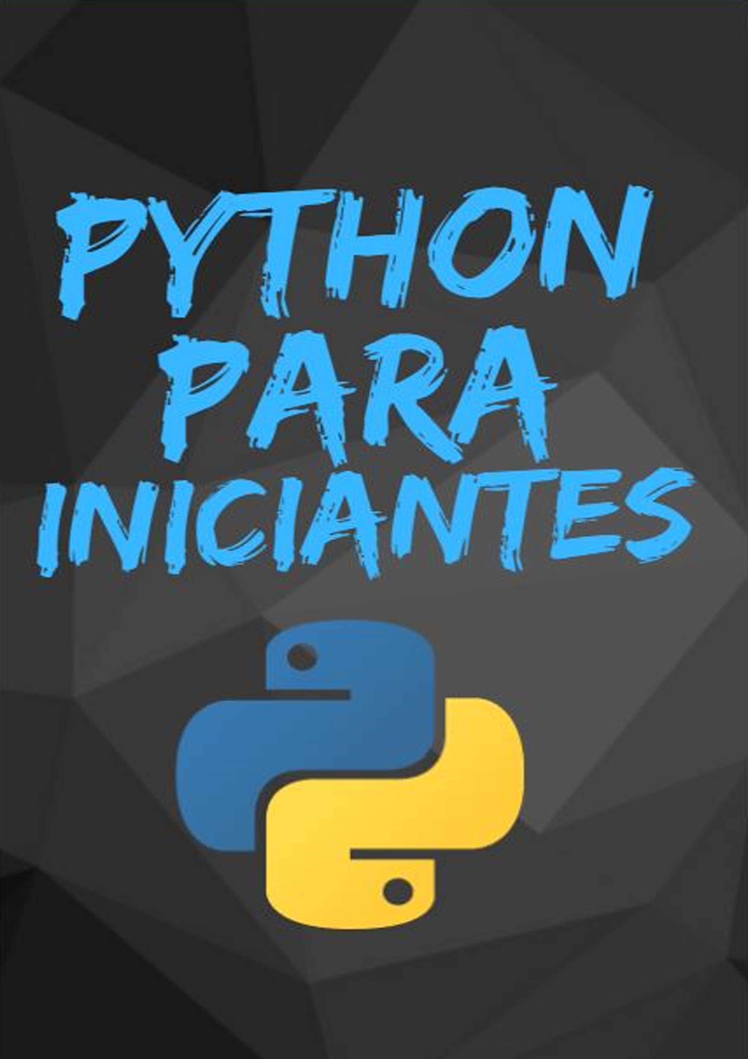 Python para Iniciantes - Ricardo Luz da Silva Filho | Hotmart