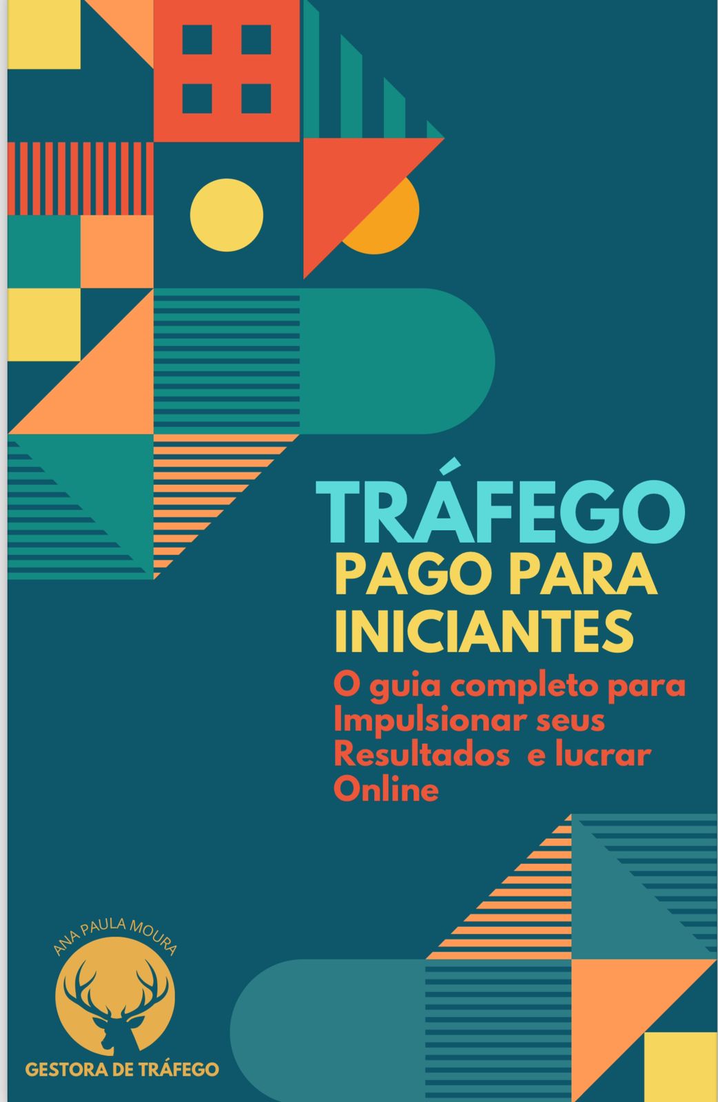 Tráfego Pago para Iniciantes