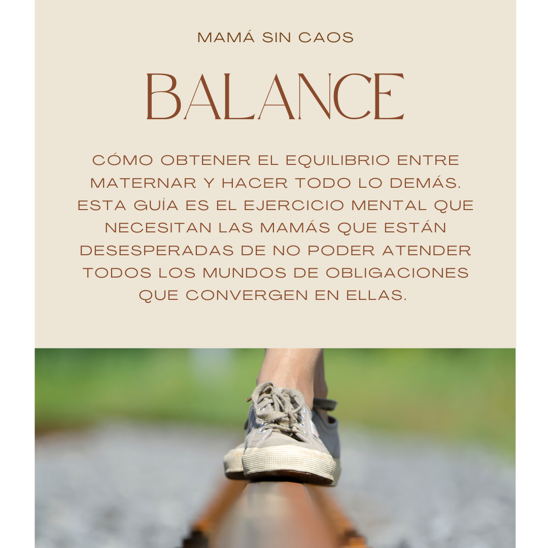 Imagen de portada para Ebook Guía Balance