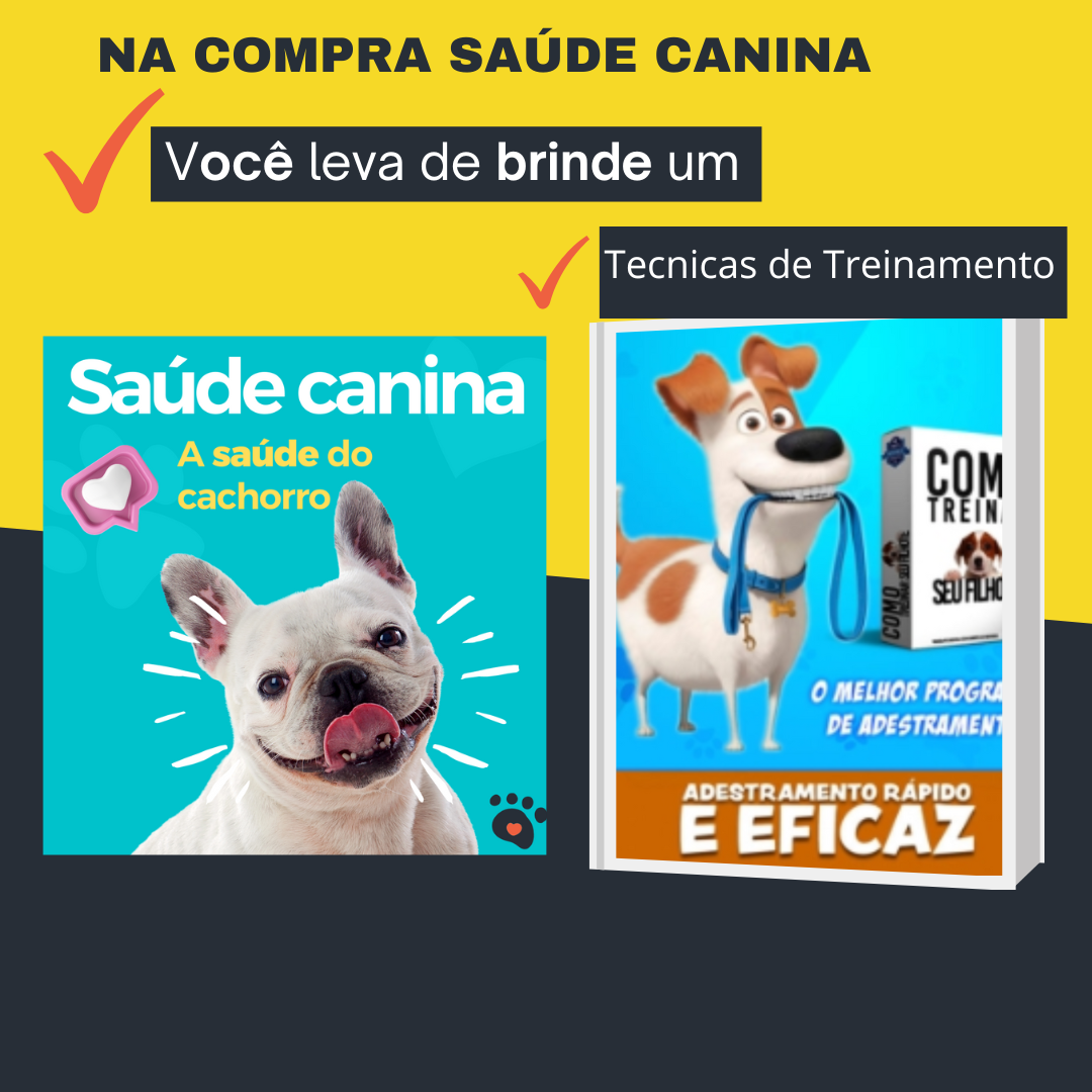 Saúde canina e leve de Brinde Tecnicas de Treinamento