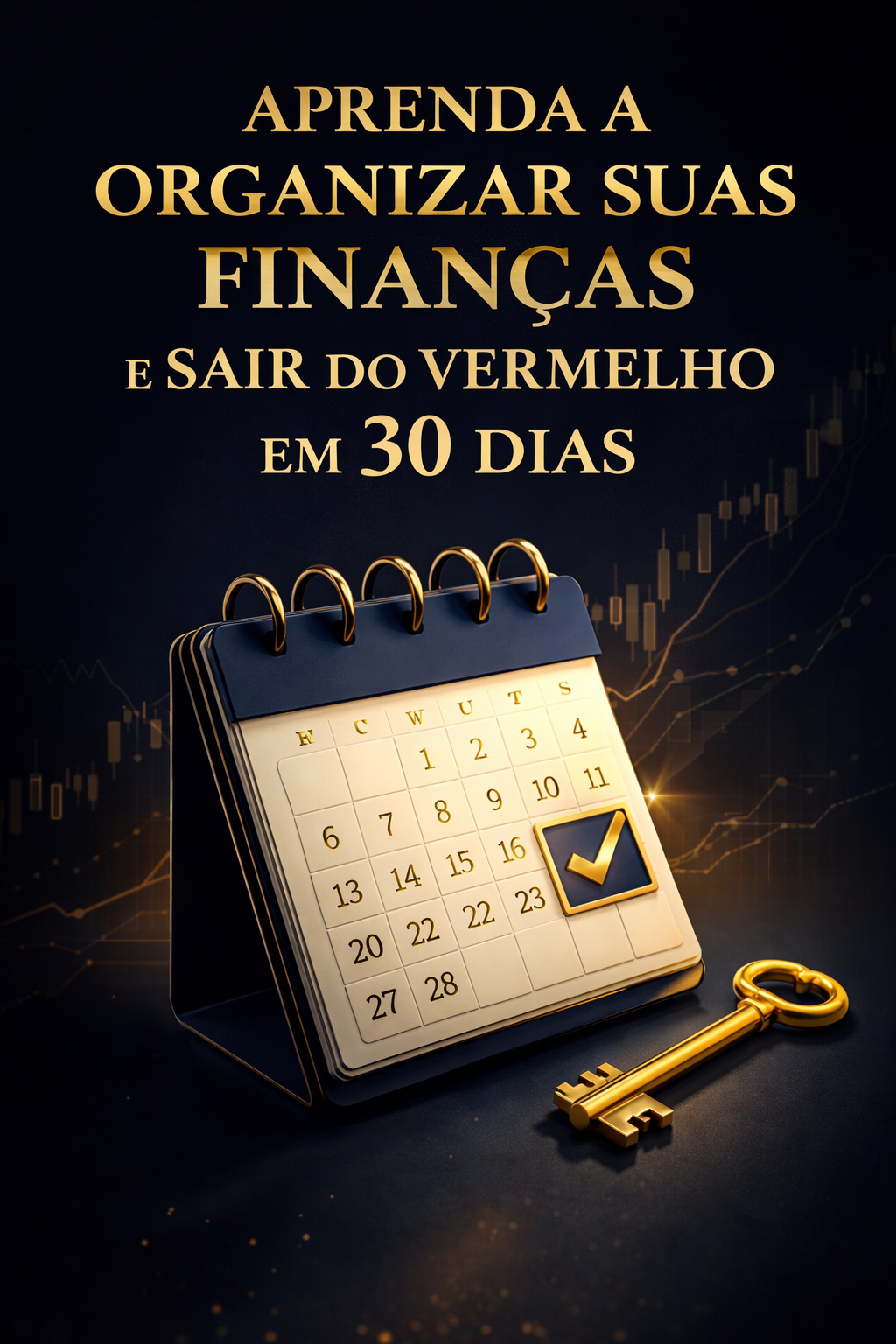 Aprenda a organizar suas finanças e sair do vermelho em 30 dias, me...