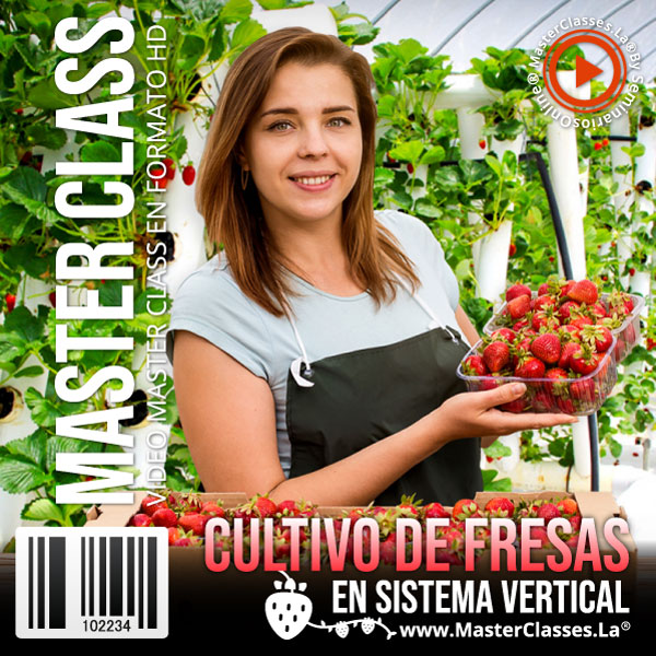 Imagen de portada para Curso online Cultivo de Fresas en Sistema Vertical