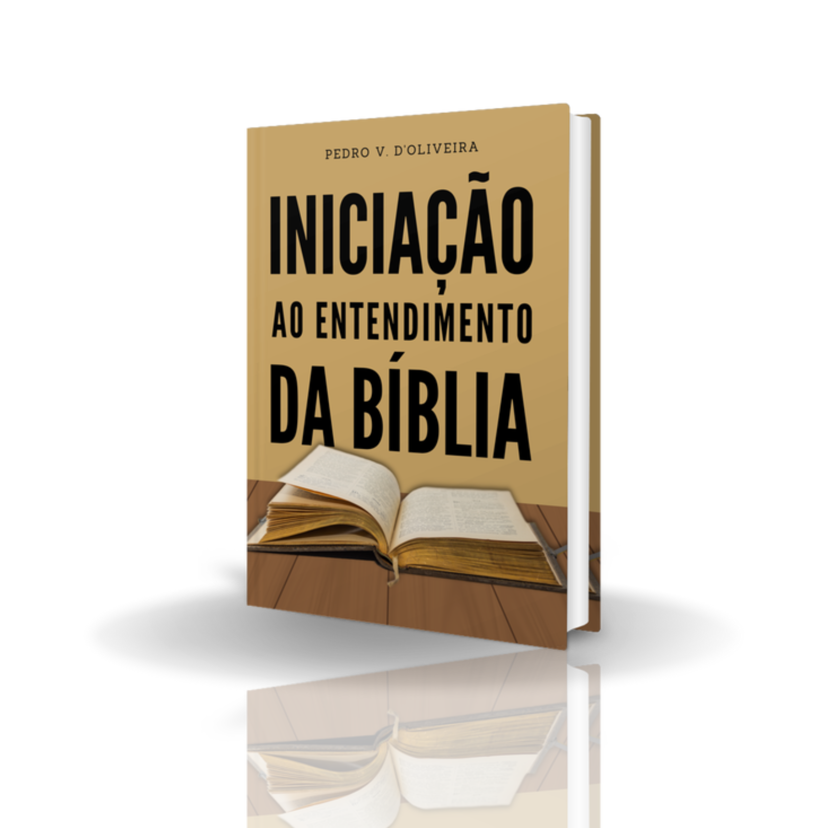 Imagem de capa para o Ebook Iniciação ao Entendimento da Bíblia 