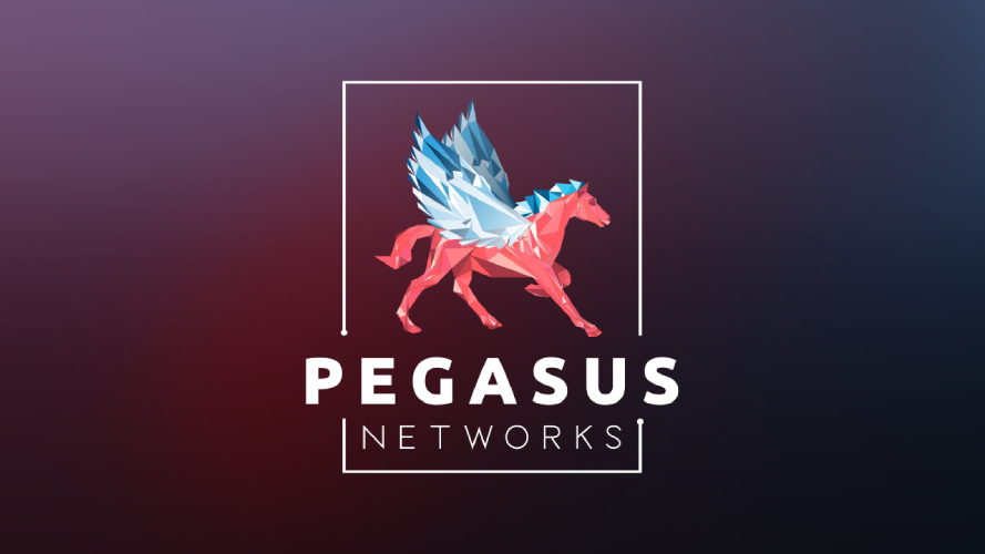 Formação Network Engineer - Pegasus Networks | Hotmart