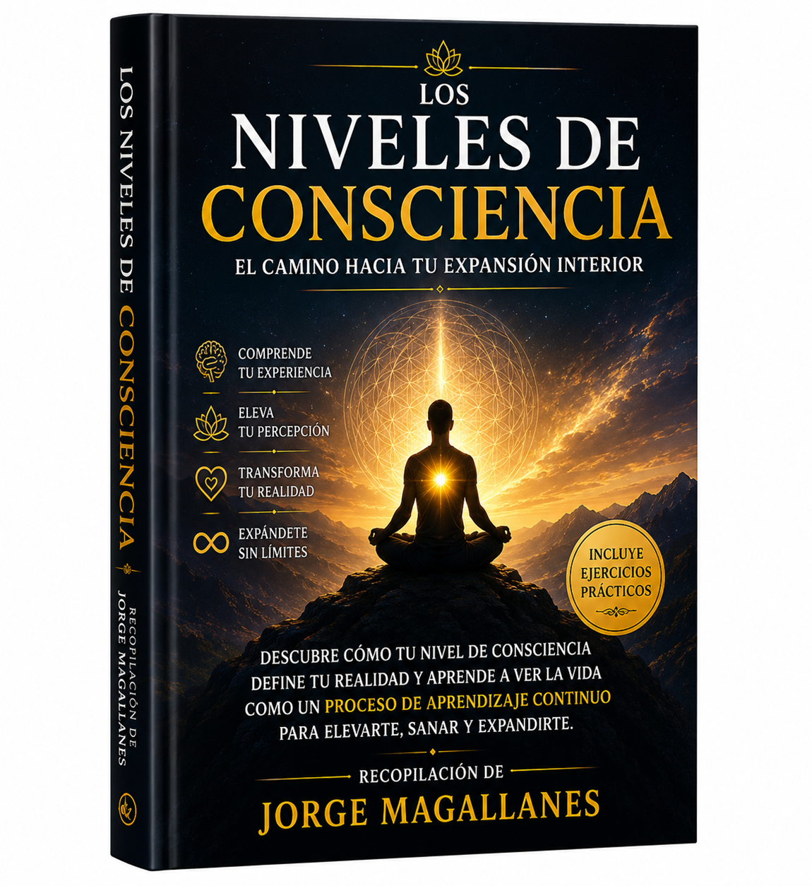 LOS NIVELES DE CONSCIENCIA El camino hacia tu verdadera transformac...