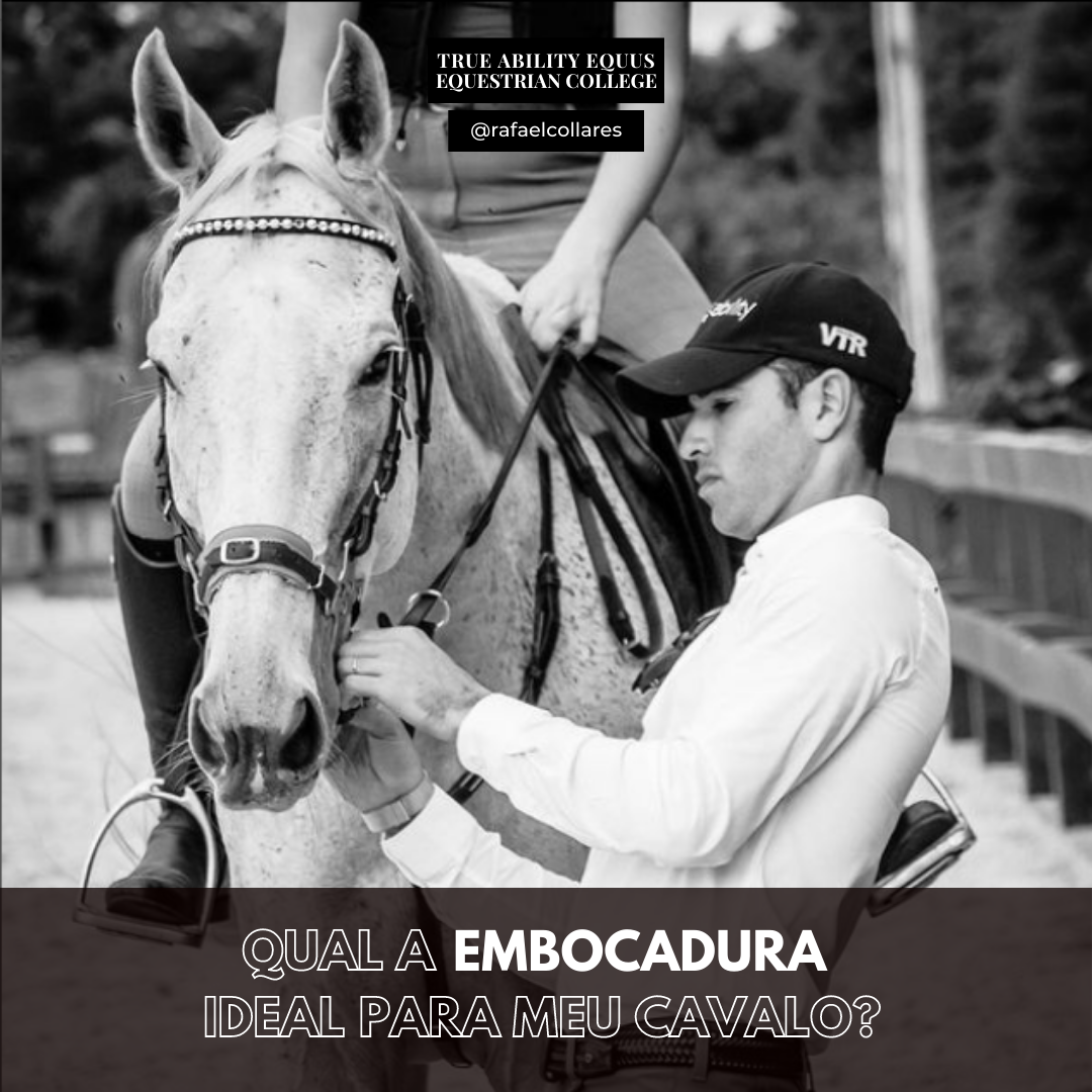 Imagem de capa para o Curso online Qual a embocadura ideal para o hipismo?