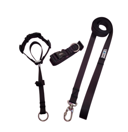 Kit Premium Coleira Cabresto Preta  - Bernardo Nogueira Repsold | Hotmart