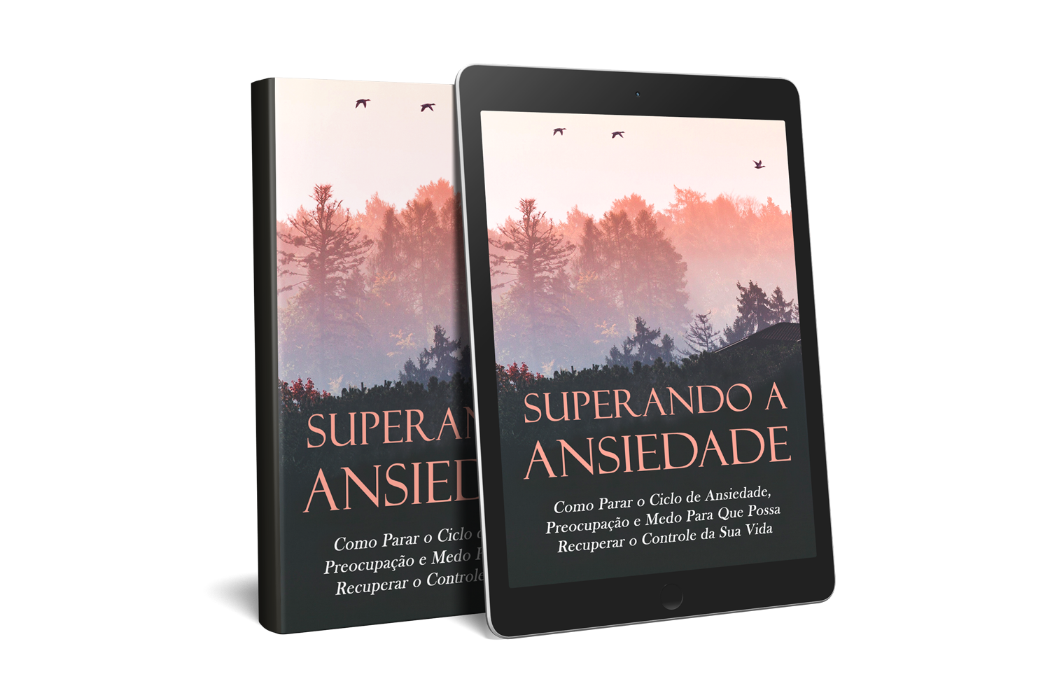 Superando a Ansiedade - Agência FULL | Hotmart