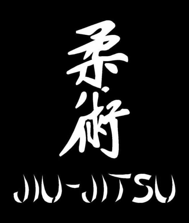 Curso de Inglês com Jiu-Jitsu Aprenda Técnicas de Luta e Aprenda Inglês para Jiujitsu