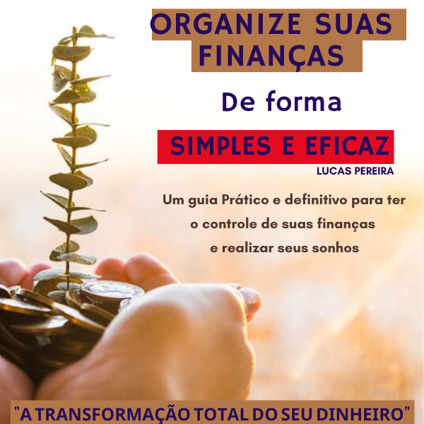 Organize suas finanças de forma Simples e Eficaz - Lucas Raimundo p...