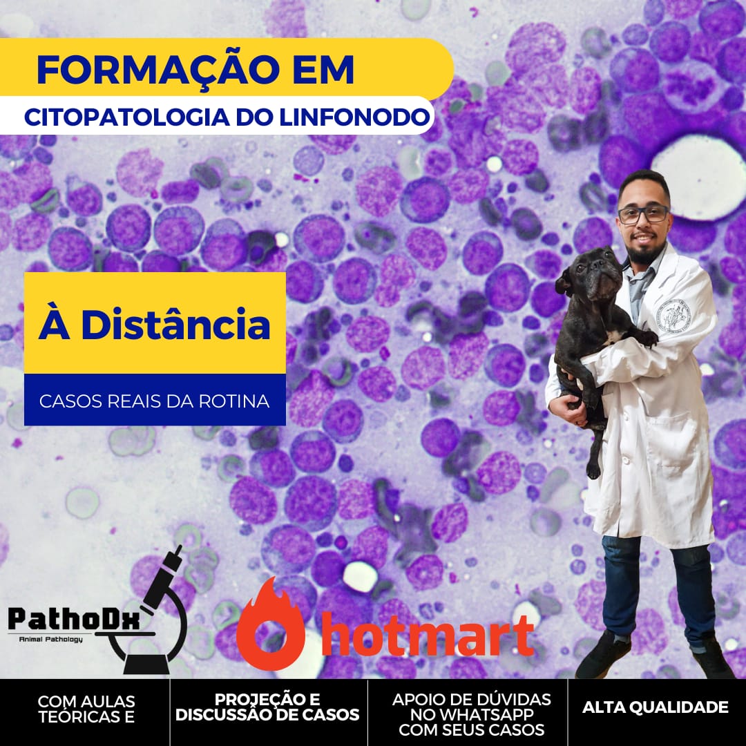 Pathodx Citopatologia do Linfonodo