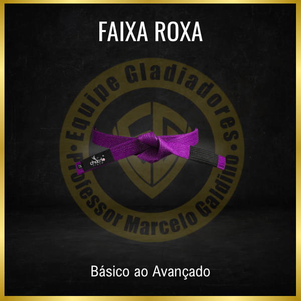 Curso de Faixa Roxa - Marcelo Galdino de oliveira | Hotmart