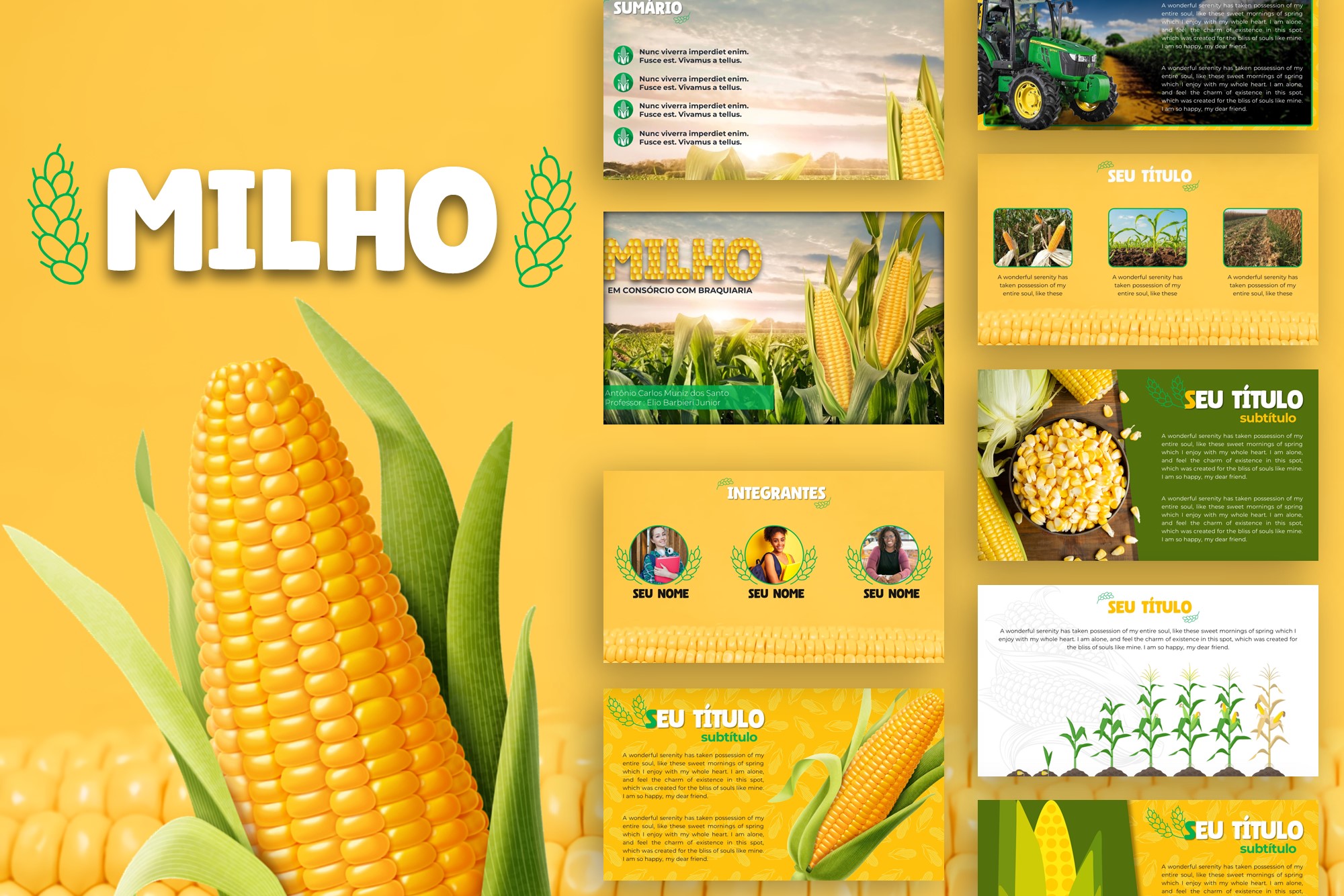 milho-template-de-powerpoint-marcelo-setubal-hotmart