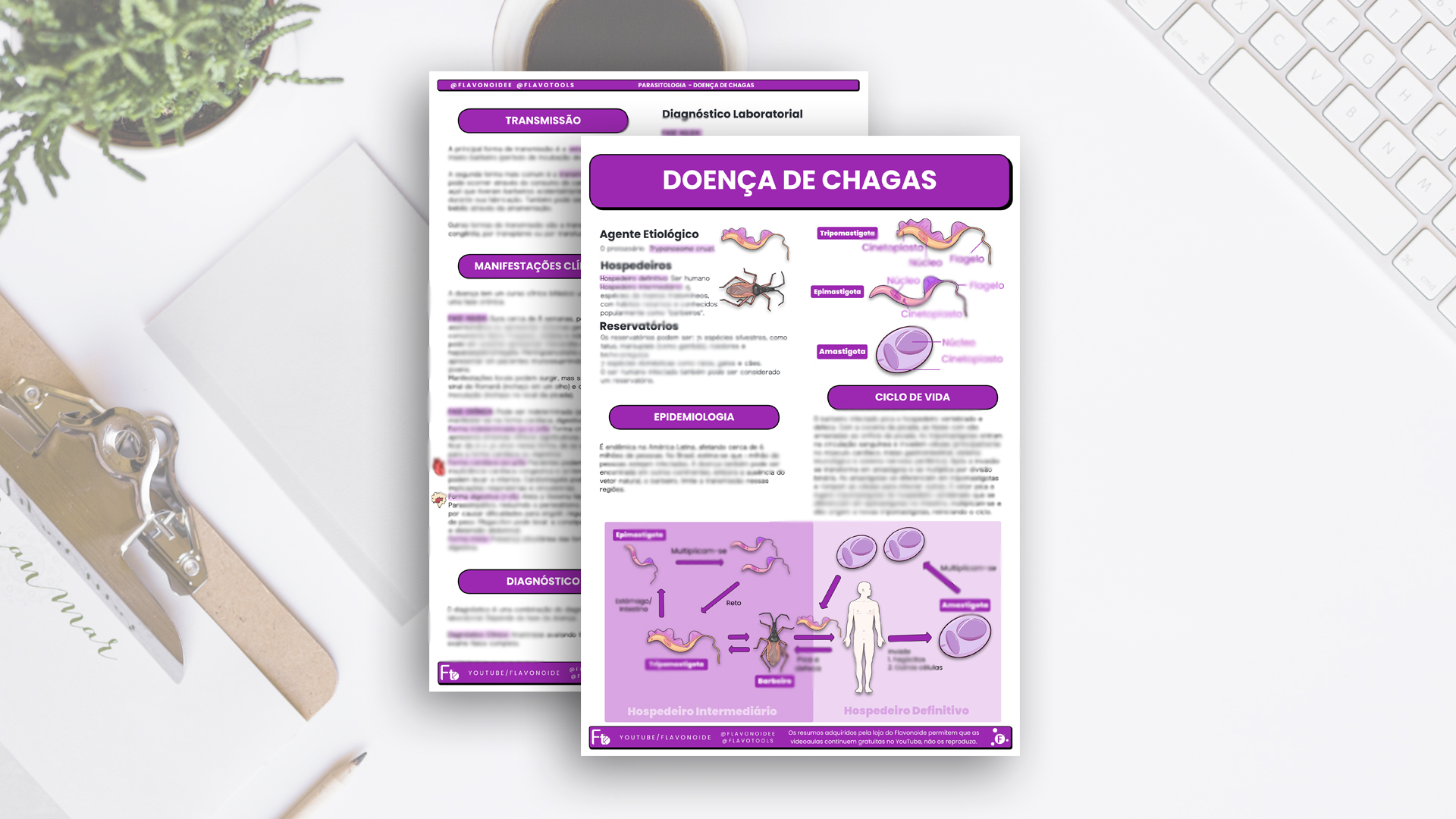 Resumo: Doença de Chagas (Parasitologia) - Flavia Teixeira Masson