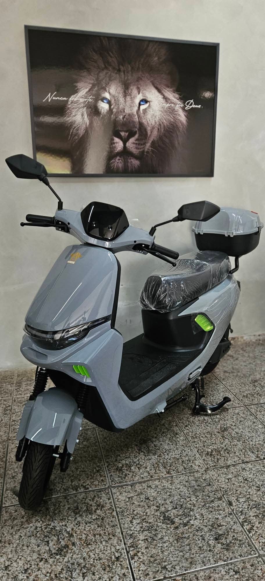 Curso Completo de Manutenção de Motos e Bicicletas Elétricas