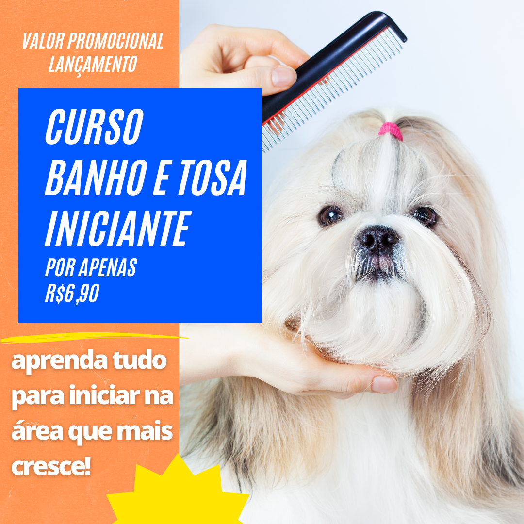 Curso de Banho e Tosa Iniciante