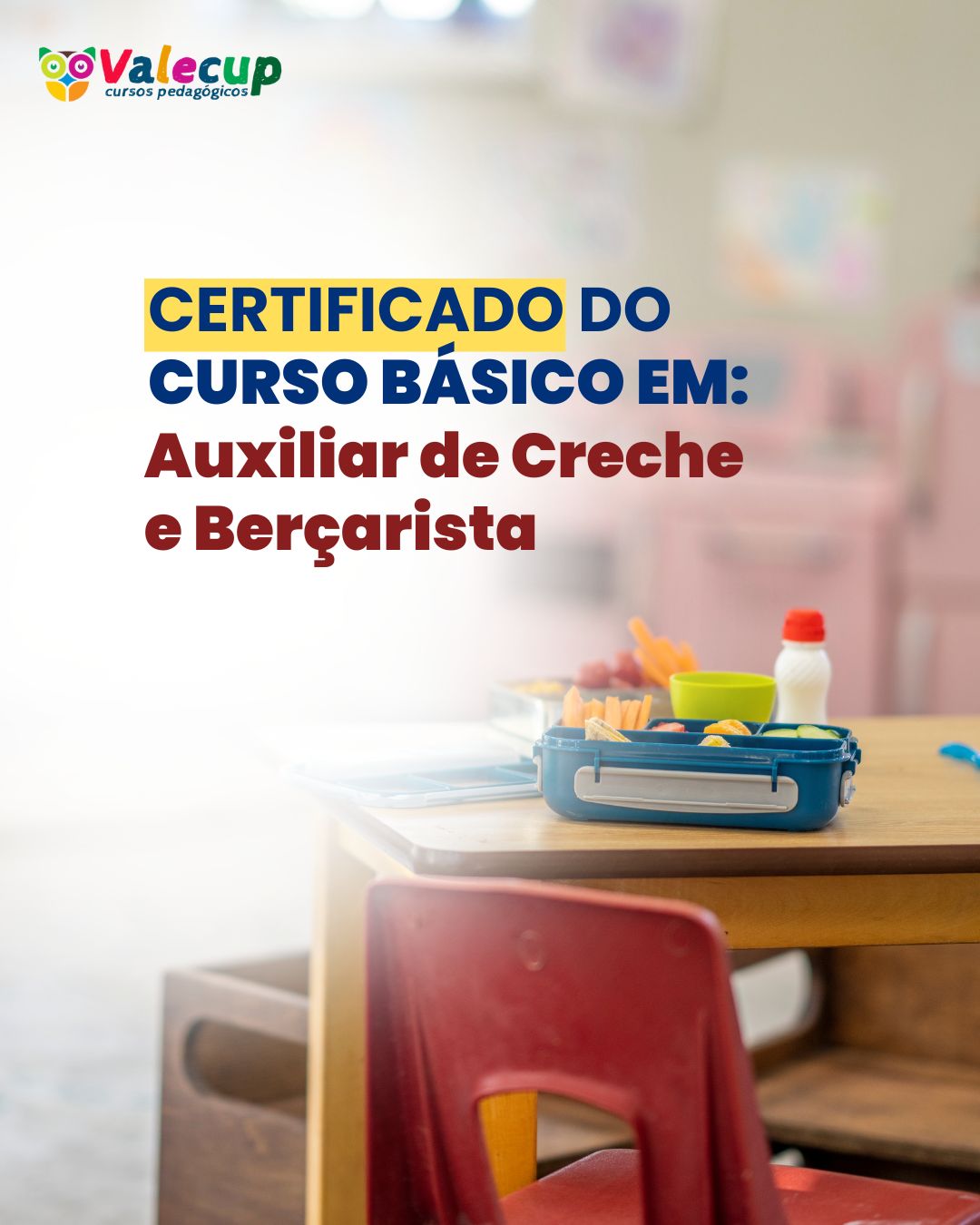 (Certificado) Curso Básico em Auxiliar de Creche e Berçarista - 40h