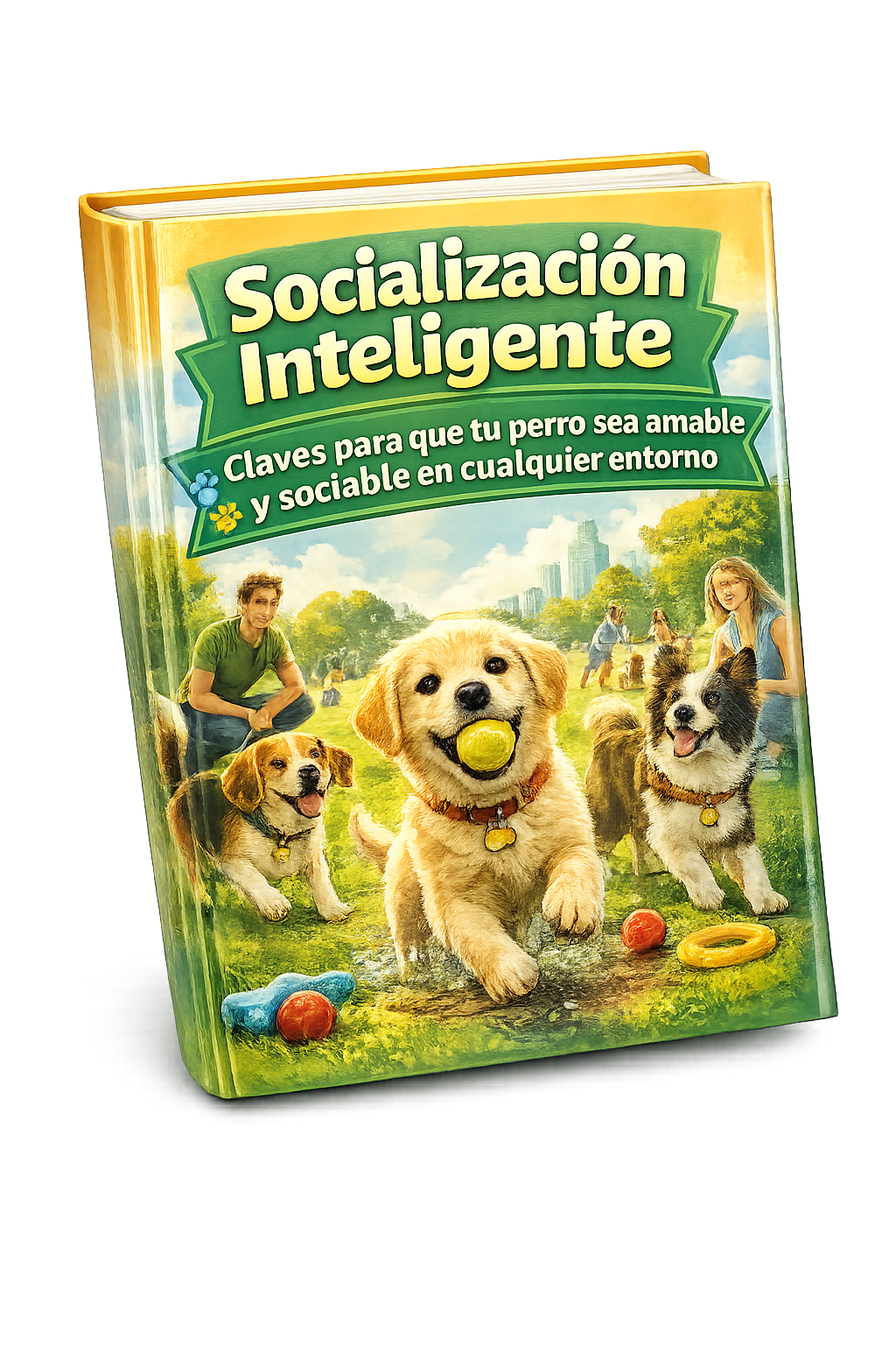 Socializable Socialización Inteligente