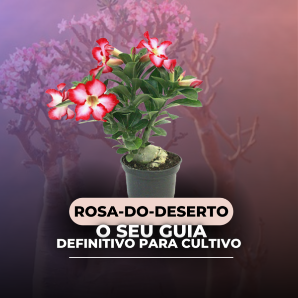 Rosas do Deserto - O seu guia completo - Editora Shark | Hotmart