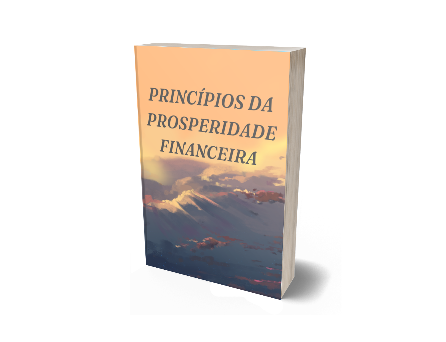 Principio da Prosperidade Financeira