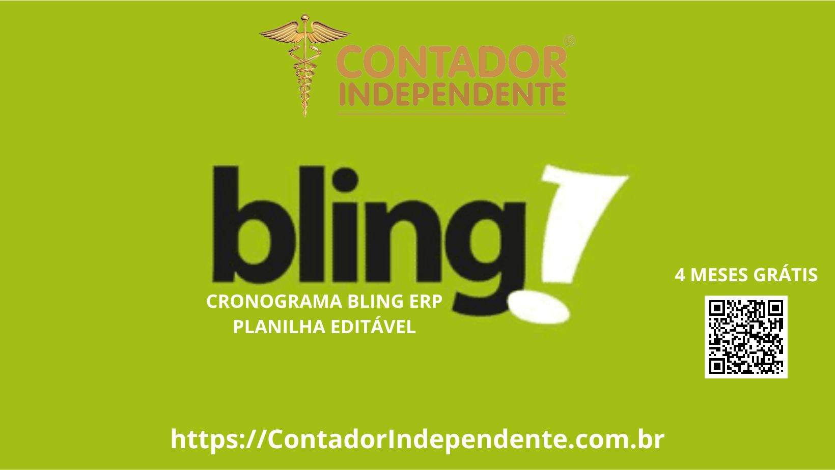Planejamento de Implantação Bling (Cronograma/ Check-List Editável)