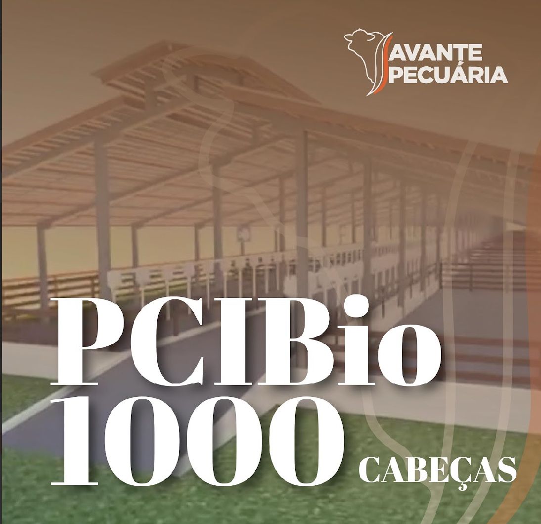 Projeto Confinamento Intensivo Para Biodigestor - PCIB 1000 cb